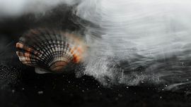 Beach Impressions No 64 von Treechild