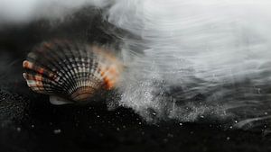 Beach Impressions No 64