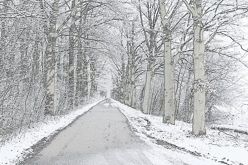 Landgoed Heerlijkheid Mariënwaerdt