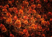 Les roses – Roses de bronze dans un champ par Jan Keteleer Aperçu