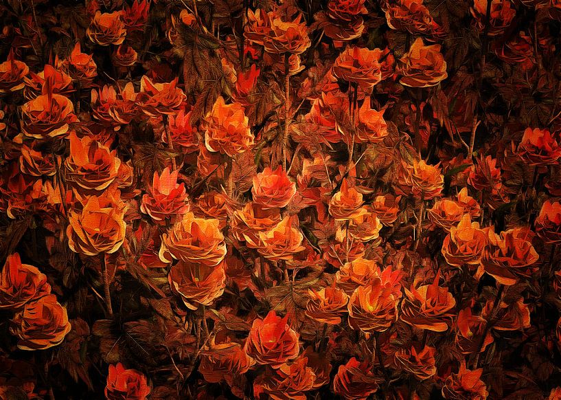 Les roses – Roses de bronze dans un champ par Jan Keteleer