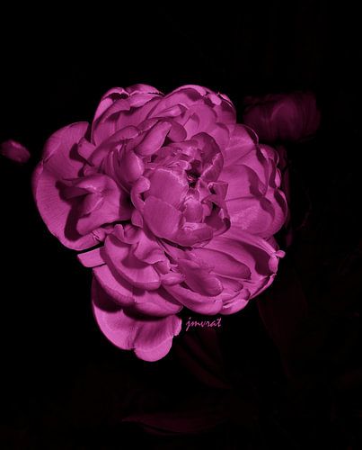 Bloemsierkunst JM108