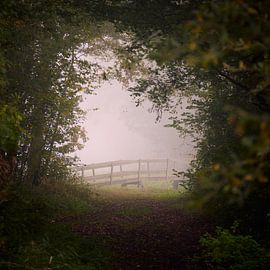 Brug van Photodoos