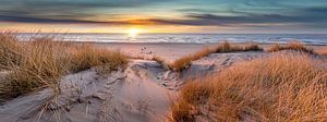 Strand Texel Pfahl 17 Sonnenuntergang Spaziergang mit Hund