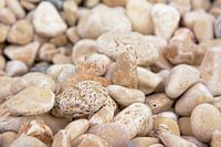 Witte keien op het strand