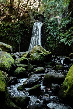 Auf dem Weg zum Wasserfall II | Eine Reise über Sao Miguel, die Azoren von Roos Maryne - Natuur fotografie