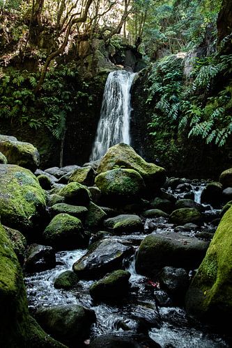Op pad naar de waterval II | Een reis over Sao Miguel, de Azoren