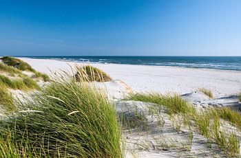 Nordsee - Dünenlandschaft 