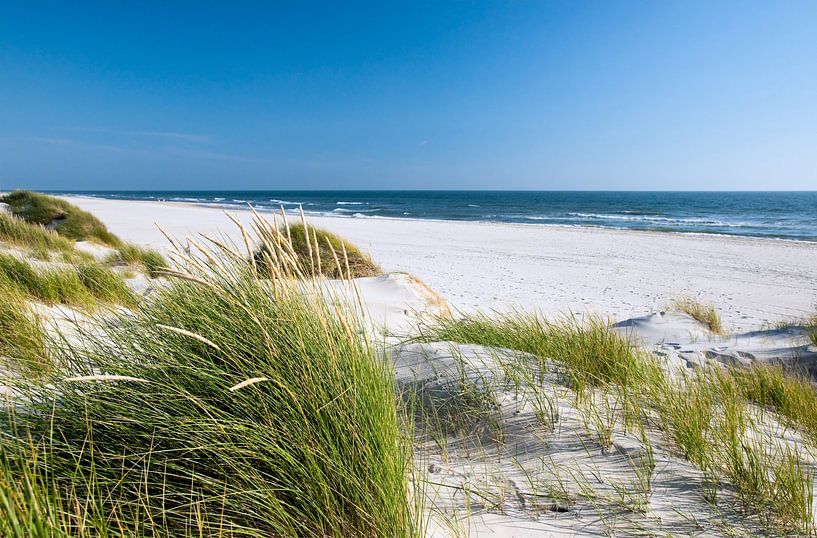 Mer du Nord - Paysage de dunes  par Reiner Würz / RWFotoArt