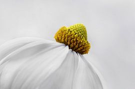Sun hat by Violetta Honkisz