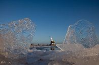 Winter at Horse of Marken by Inge Wiedijk thumbnail