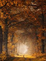 Szenischer Herbst