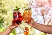 Vrienden proosten met cocktails