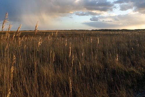 Schiermonnikoog, air