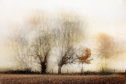 Herfst