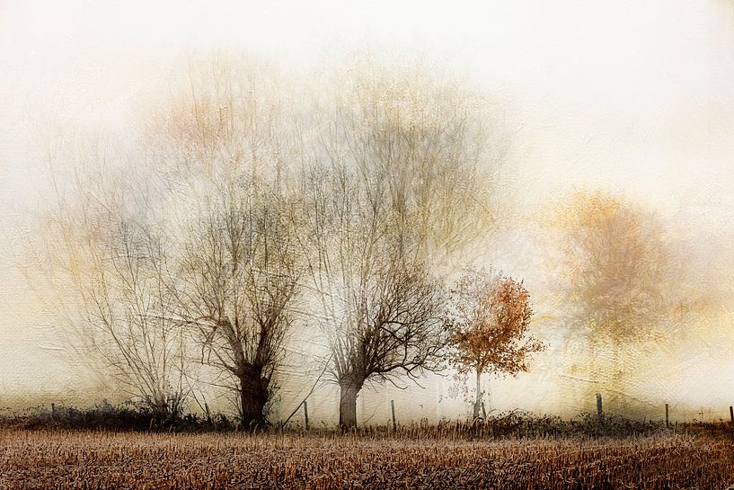 Automne par Ingrid Van Damme fotografie