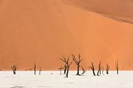 Namibië, deadvlei von Jeannette Kliebisch Miniaturansicht