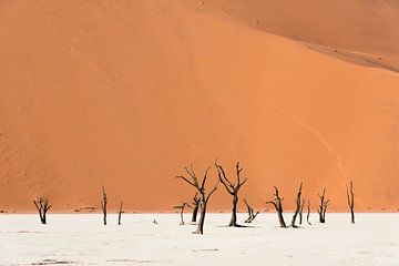Namibië, deadvlei van Jeannette Kliebisch