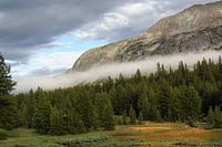 Parc national de Yosomite
