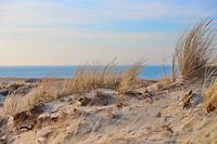 Dune de sable avec mer