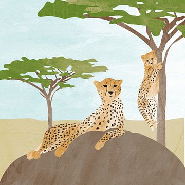 Cheetah on rock with baby leopard in tree