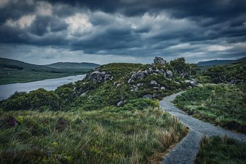 Gemälde Look - Wanderweg im Glenveagh-Nationalpark von Martin Diebel