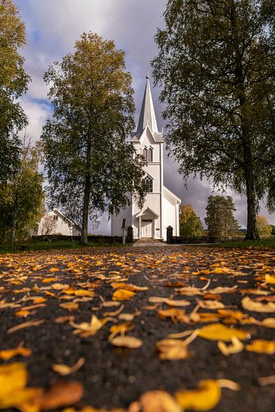 Norway Byglandsfjord by Ronnie Schuringa