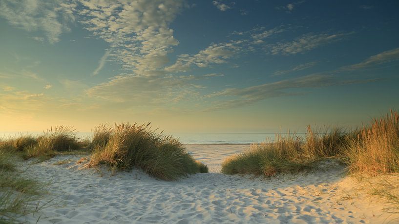 Ameland von seiner schönsten Seite von Rinnie Wijnstra (FotoAmeland )