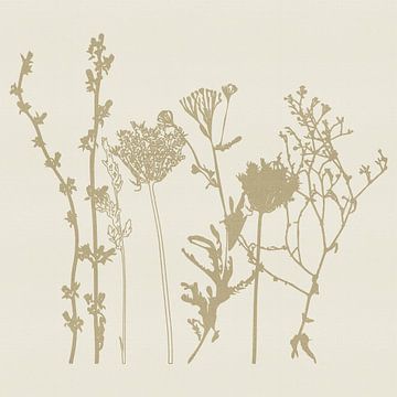 Minimalistische wilde bloemen in beige van Dina Dankers