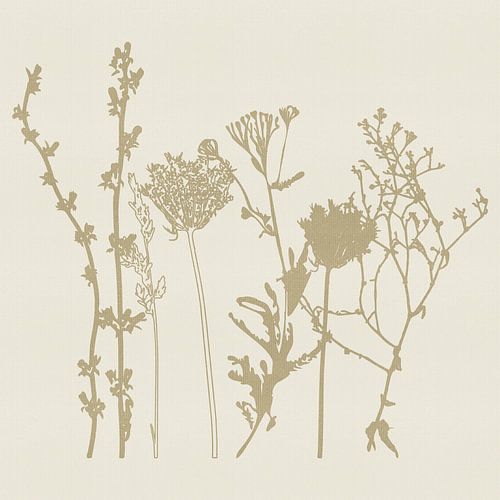 Minimalistische wilde bloemen in beige