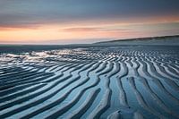 Lines