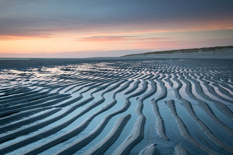 Lines by Cor Bak