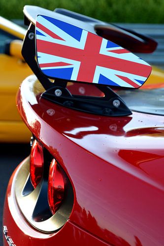 Red and Yellow Lotus