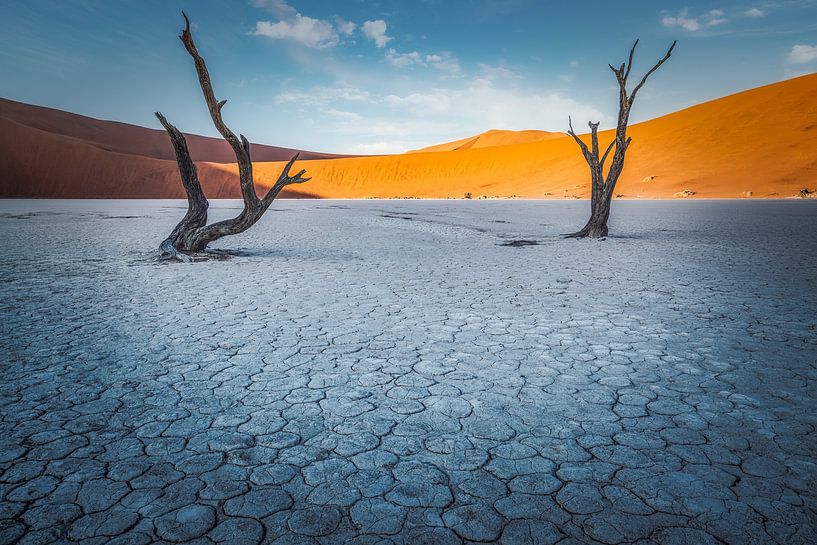 Paved desert by Loris Photography