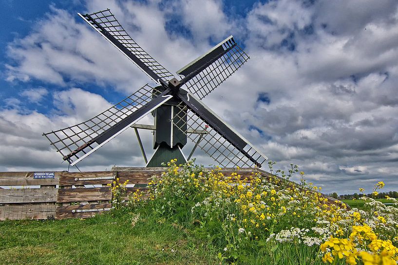 Terpensmole IJlst von Pier de Haan