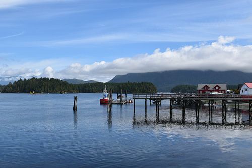 De haven in de zomer