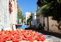 zon tomaten