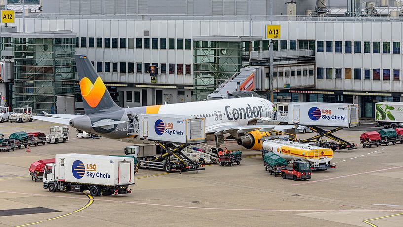 Vorbereitungen für einen neuen Flug. von Jaap van den Berg