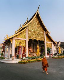 Golden Temple in Chiang Mai, Thailand, with a Buddhist monk by Thea.Photo
