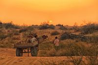 Sunset in the desert in India