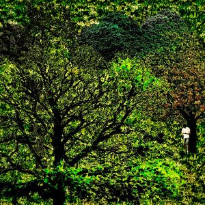 Keine Abdeckung (Mann mit Smartphone in einem Wald)