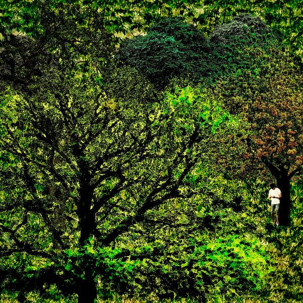 Geen bereik (man met smartphone in een bos) van Ruben van Gogh - smartphoneart