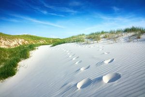 Strandweg auf Amrum