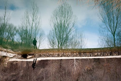 Reflexion auf einem See