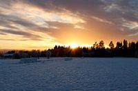 Swedish afternoon sun