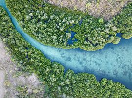 Die Lunge der Erde von Wahid Fayumzadah