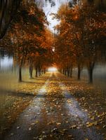 Herbstspur