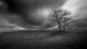 Dunkle Wolken ziehen auf von Ronald Massink