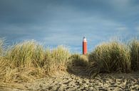 Eierland vuurtoren op Texel (waddeneilanden) van Thijs Schouten thumbnail