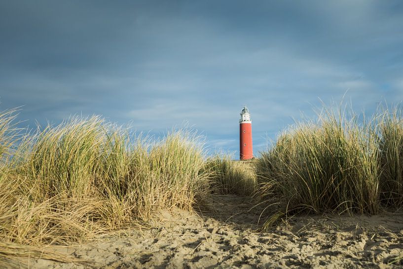 Eierland vuurtoren op Texel (waddeneilanden) van Thijs Schouten